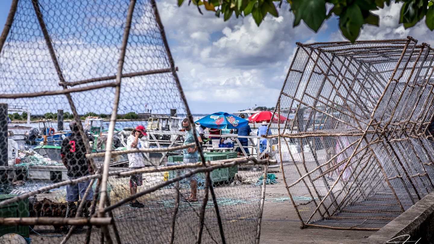 Saint-François | GUADELOUPE FWI Marché au Poisson