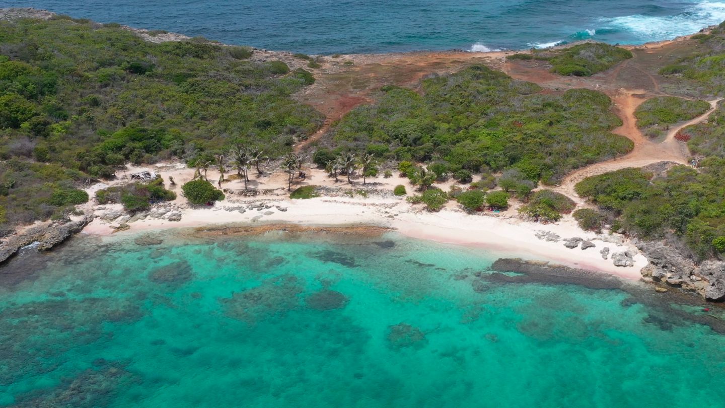 Saint-François | GUADELOUPE FWI Anse Tarare